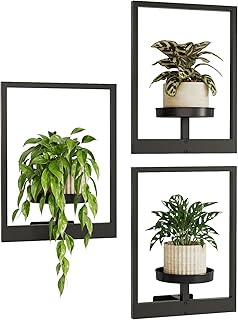 Bamworld Hanging Planters for Indoor Plants Wall Decor Living Room Plant...