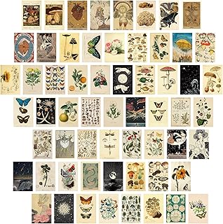 Containlol 60 Pcs Vintage Wall Collage Kit Maximalist Paintings Art Prin...