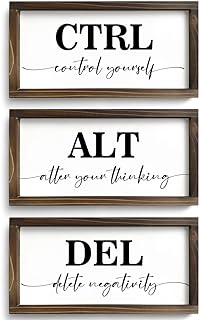 Pinetree Art Rustic Wooden Office Decor - CTRL ALT DEL Framed Motivation...