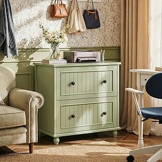 Scurrty Vintage Style 2-Drawer Vintage File Cabinet with Metal Frame, Ad...