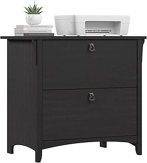 Bush Home Salinas 2 Drawer Lateral File Cabinet in Vintage Black, Home O...