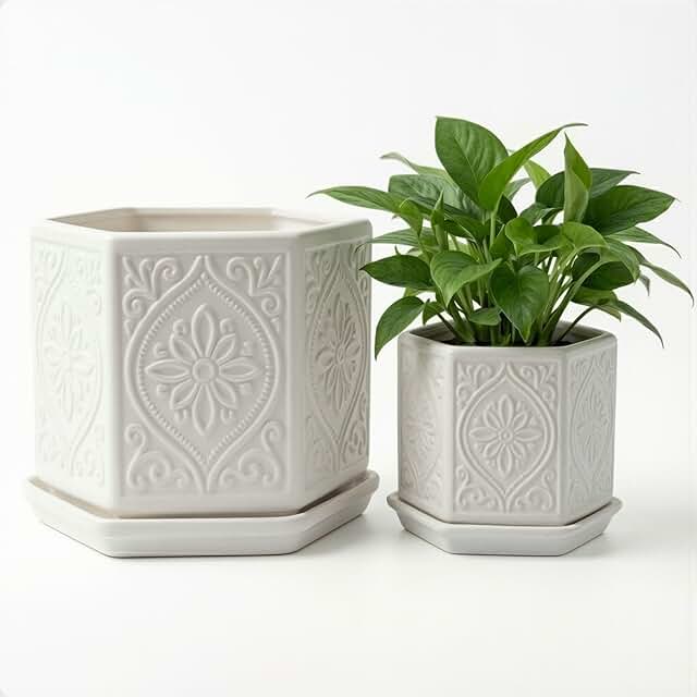 Ceramic Pots for Plants Set of 2 Sizes - 6 Inch and 4 Inch Wide Plant Po...