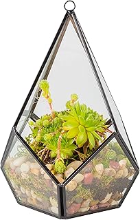 D'Eco Glass Teardrop Centerpiece (6x6x7)- Tabletop or Hanging Planter Te...