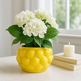 Decorative Planter Pot with Lemon Pattern– Ceramic Stoneware Outdoor and...