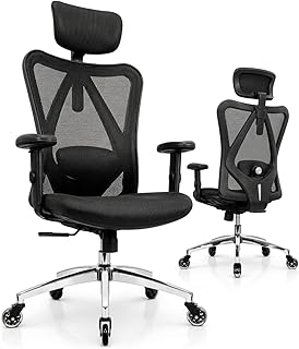 Duramont Ergonomic Office Chair with Rollerblade Wheels - High Back Brea...
