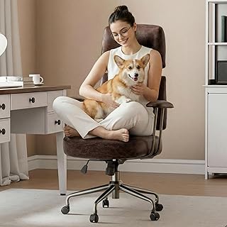EUREKA ERGONOMIC Home Office Desk Chairs, Ergonomic Computer Chair with ...