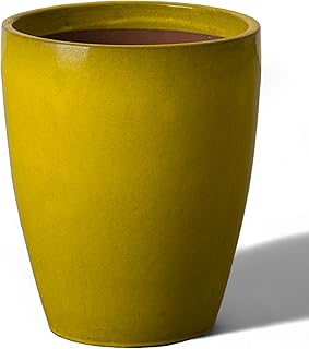 Emissary Home and Garden Bullet 11.5 in. Mustard Yellow Ceramic Round Pl...