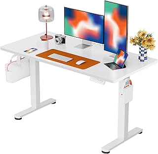 ErGear Height Adjustable Electric Standing Desk, 48 x 24 Inches Sit Stan...