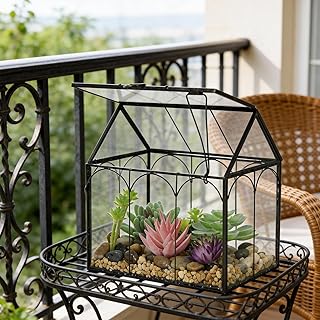 Ferrisland Glass Plant Terrarium Container Wardian Case Indoor Small Suc...