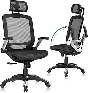 GABRYLLY Ergonomic Office Chair, High Back Home Desk Chair with Headrest...