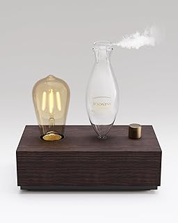 Glass Essential Oil Diffuser with Natural Wood Base, Waterless Aromather...