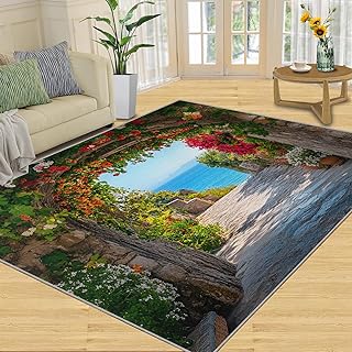Italian Landscape Rug - 4x5 Rugs for Living Room, Arch Street Area Rug, ...