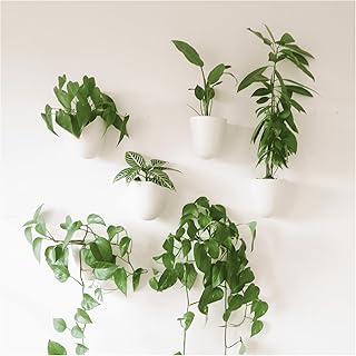 Make Good PlantPod Luxe - Self-Watering Wall Planters (Set of 6) - Easy ...