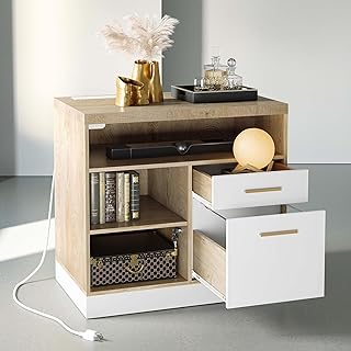 ModernMate 2 Drawer Wood File Cabinet, Filing Cabinet for Home Office wi...