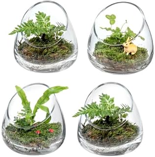 MyGift 5 Inch Premium Clear Glass Air Plant Terrarium, Tealight Candle H...