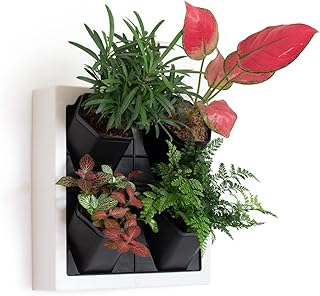 Self Watering Wall Planter with 4 Pots - Easy to Create Indoor Living Wa...