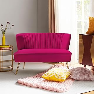 TINA'S HOME Contemporary Velvet Loveseat Sofa, Upholstered Loveseat Couc...