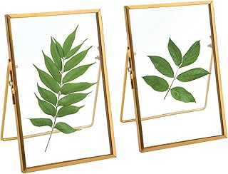 TLBTEK 2 Pcs 5x7 inch Desk double glass Photo frames kit,Gold brass meta...