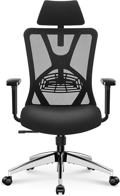Ticova Ergonomic Office Chair - High Back Desk Chair with Adjustable Lum...