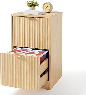VINGLI 2 Drawer File Cabinet, Home Office Filing Organizer, for Letter S...