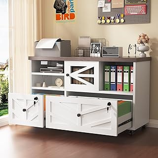 White Lateral File Cabinet with Lock, 2 Drawer Rolling Filing Cabinet fo...