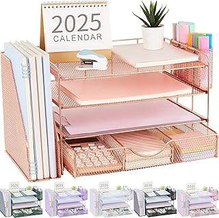 gianotter Desk Organizers and Accessories with File Holder, 4-Tier Desk ...
